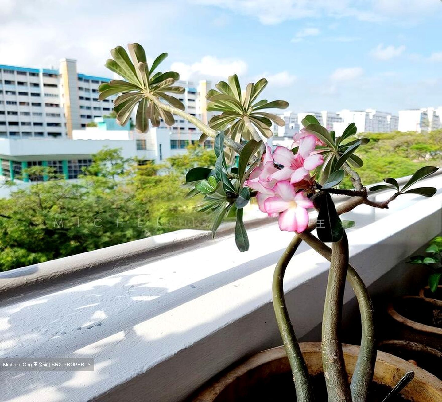 Blk 145 Yishun Street 11 (Yishun), HDB 3 Rooms #501985971